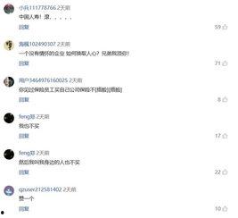 国产在线538,揭秘国内热门影视娱乐平台背后的故事