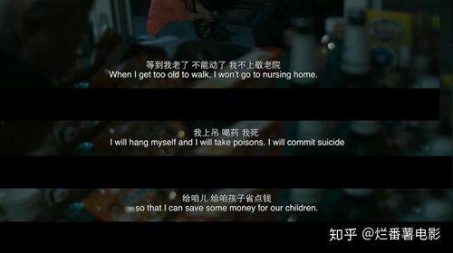 国产精彩久久,穿越时光的温情之旅