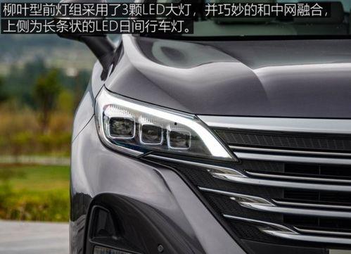 2019国产精品,匠心独运，绽放时代光彩