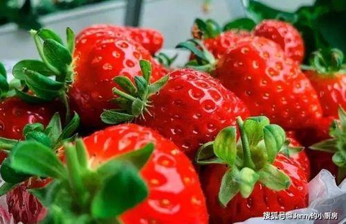 水莓100 免费国产