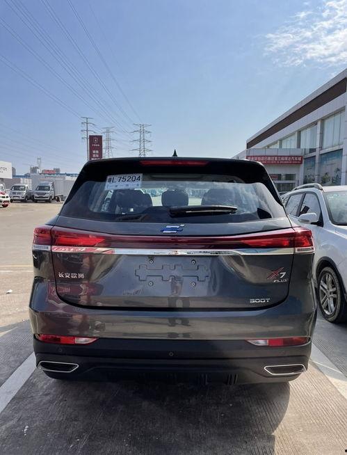 最新国产3级,引领影视潮流的视觉盛宴