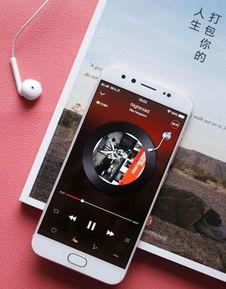 手机在线观看国产,手机在线观看，尽享国产影视盛宴